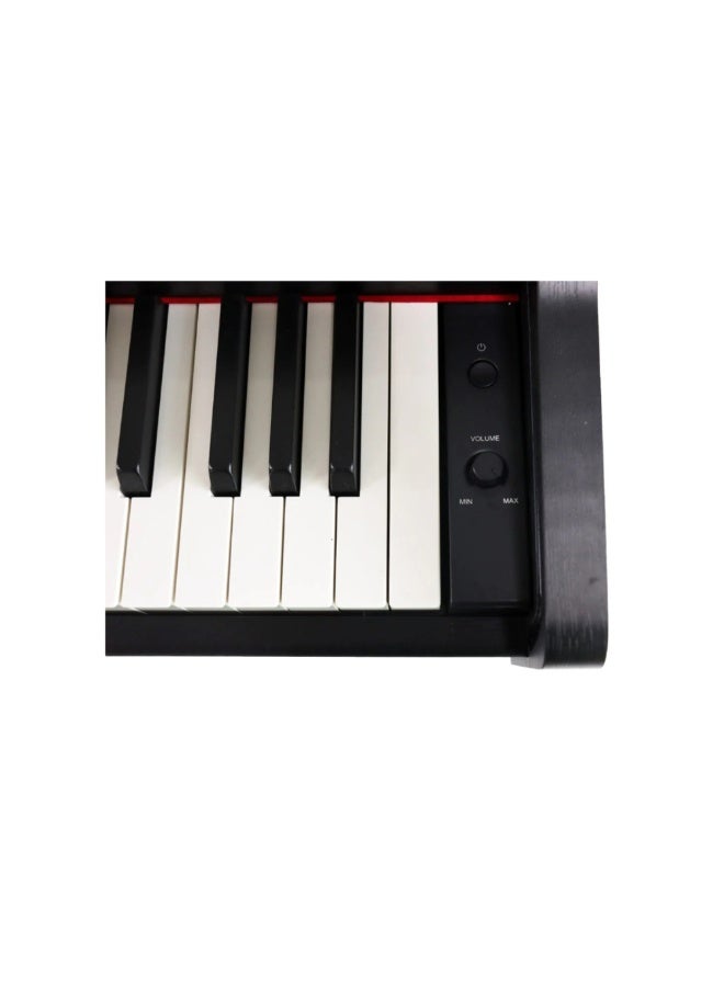 شتاينر بيانو ستاينر الرقمي DP-250 إصدار 2025 – 88 مفتاح بآلية المطرقة بلون أسود مع مقعد - Image 3