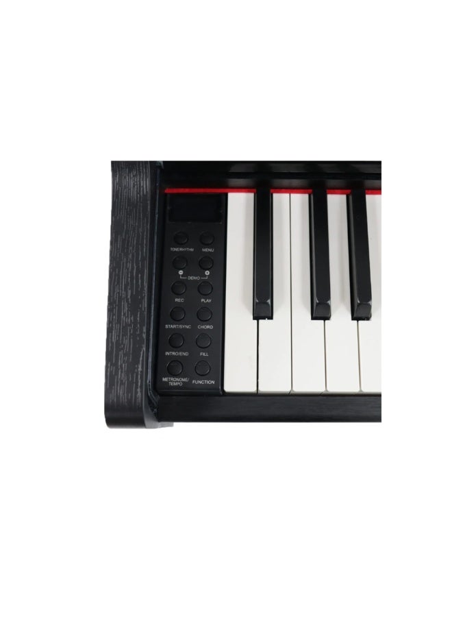 شتاينر بيانو ستاينر الرقمي DP-250 إصدار 2025 – 88 مفتاح بآلية المطرقة بلون أسود مع مقعد - Image 2