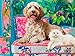 Springbok Floral Companions 500 Jigsaw Piece Puzzle for Adults Dog and Cat Puzzle Unique Cut Pieces Made in USA - Image 2