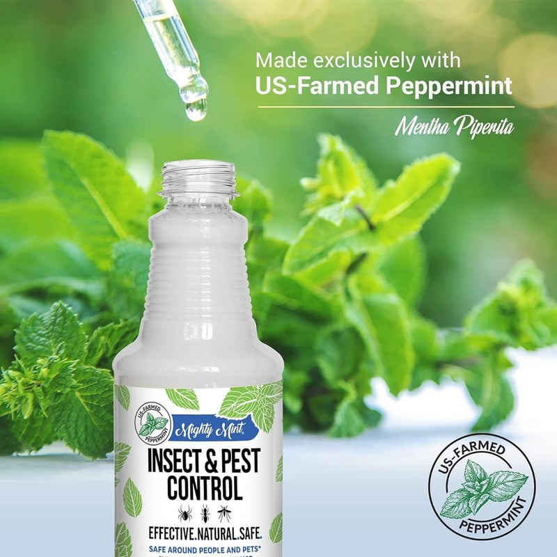 Mighty Mint Peppermint Oil Insect Repellent Spray – Natural Indoor & Outdoor Bug Control for Spiders, Ants, Roaches, and More – Plant-Based, Extra-Strong Formula - 16 oz (Pack of 2) - Image 4