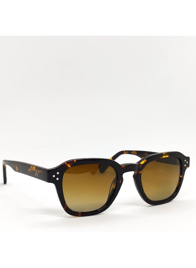 IVILARA SQM33302 Polarized IVILARA Women Sunglasses (Brown) - Image 4