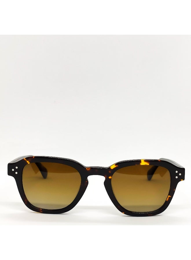 IVILARA SQM33302 Polarized IVILARA Women Sunglasses (Brown) - Image 3