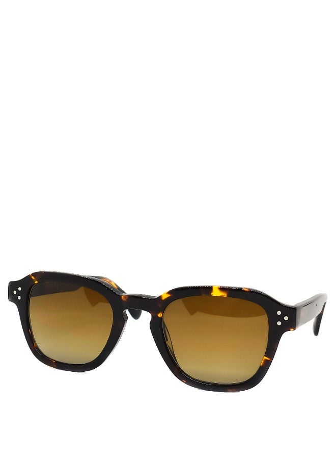 IVILARA SQM33302 Polarized IVILARA Women Sunglasses (Brown) - Image 2