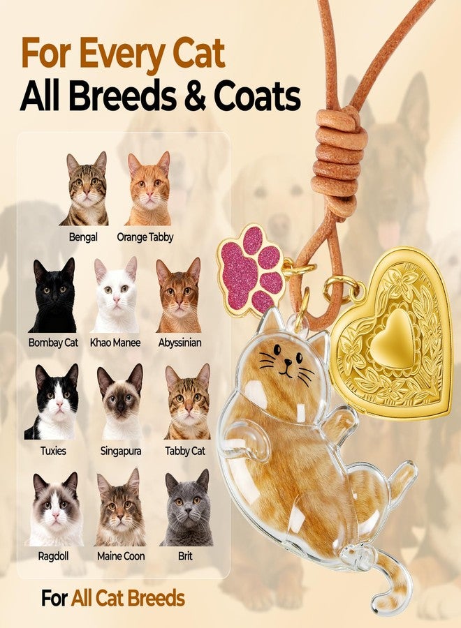 Cute Cat Hair Collector Keychain Cat Fur Keepsake Pet Memorial Gifts for Cats Pets Fur Memory Charm with Storage Photo - Image 2