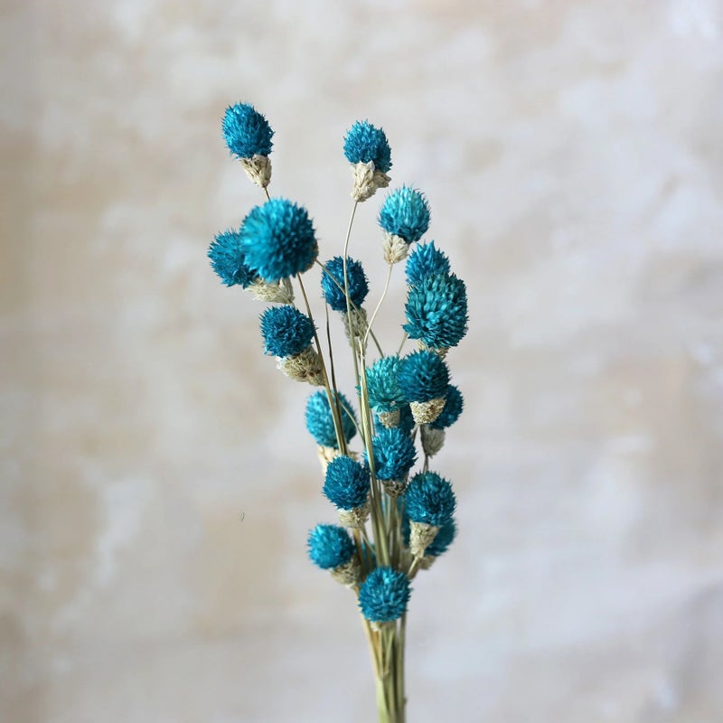 Bluejw Yunnan Dried Flowers - Colorful Strawberry Fruit Floral Arrangements | Natural Dried Plants Bouquet for Home Decor, Long-Lasting Dry Flower Decorations - Image 1