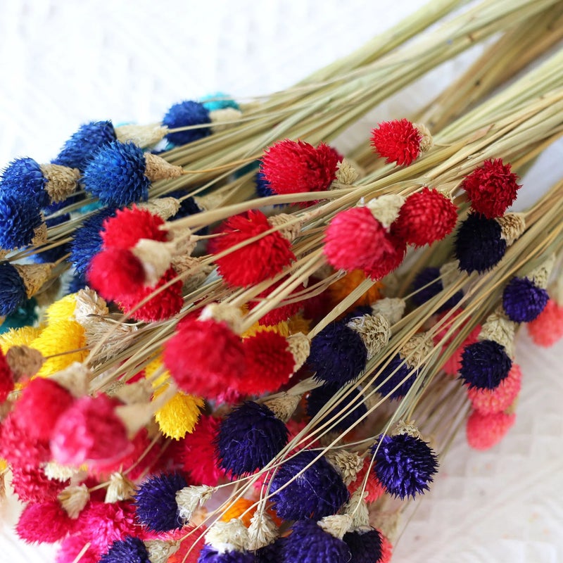 Bluejw Yunnan Dried Flowers - Colorful Strawberry Fruit Floral Arrangements | Natural Dried Plants Bouquet for Home Decor, Long-Lasting Dry Flower Decorations - Image 3