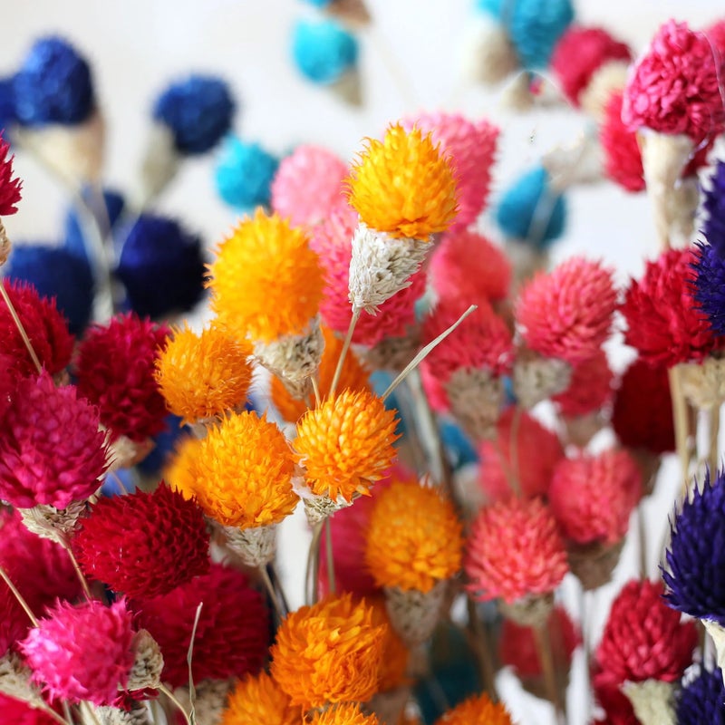 Bluejw Yunnan Dried Flowers - Colorful Strawberry Fruit Floral Arrangements | Natural Dried Plants Bouquet for Home Decor, Long-Lasting Dry Flower Decorations - Image 2