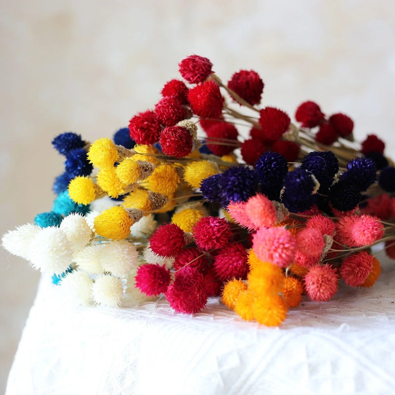 Bluejw Yunnan Dried Flowers - Colorful Strawberry Fruit Floral Arrangements | Natural Dried Plants Bouquet for Home Decor, Long-Lasting Dry Flower Decorations - Image 4