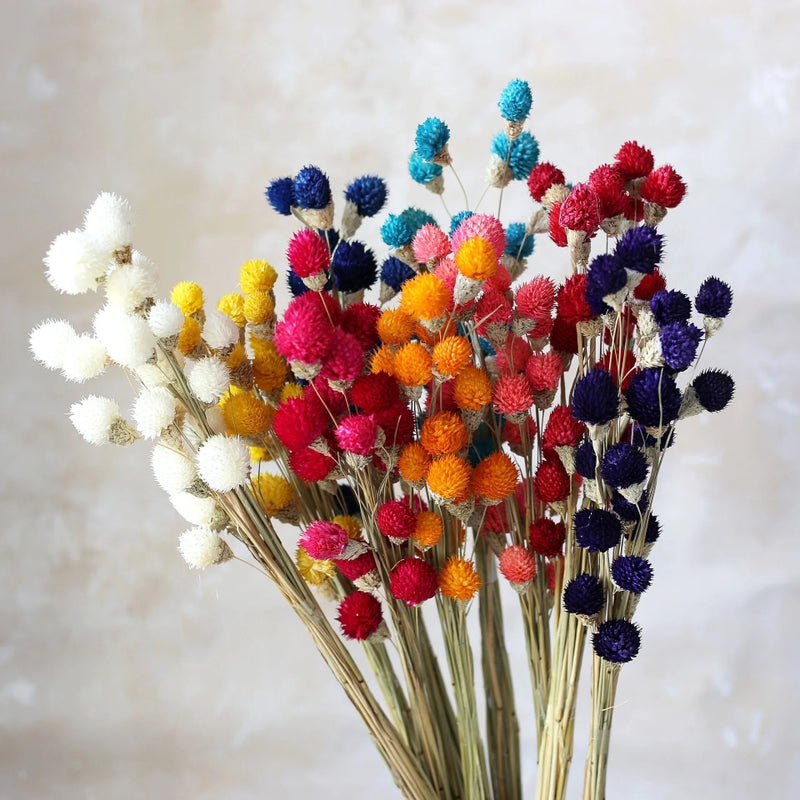 Bluejw Yunnan Dried Flowers - Colorful Strawberry Fruit Floral Arrangements | Natural Dried Plants Bouquet for Home Decor, Long-Lasting Dry Flower Decorations - Image 5