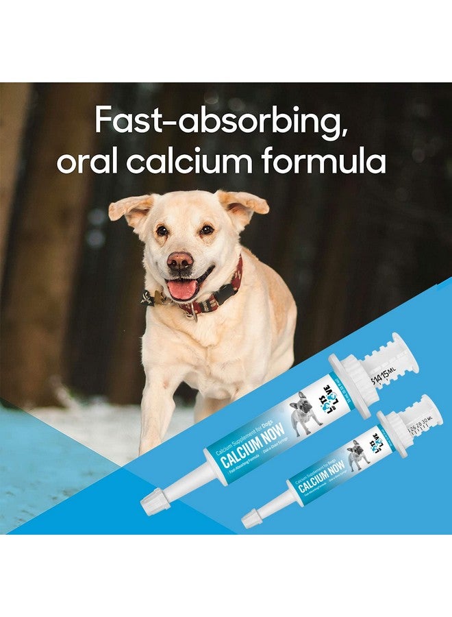 كالسيوم ناو - كالسيوم فموي للكلاب أثناء الولادة (30 مل) - معجون مكمل كالسيوم للكلاب والقطط - الكثير من الحب - Image 4