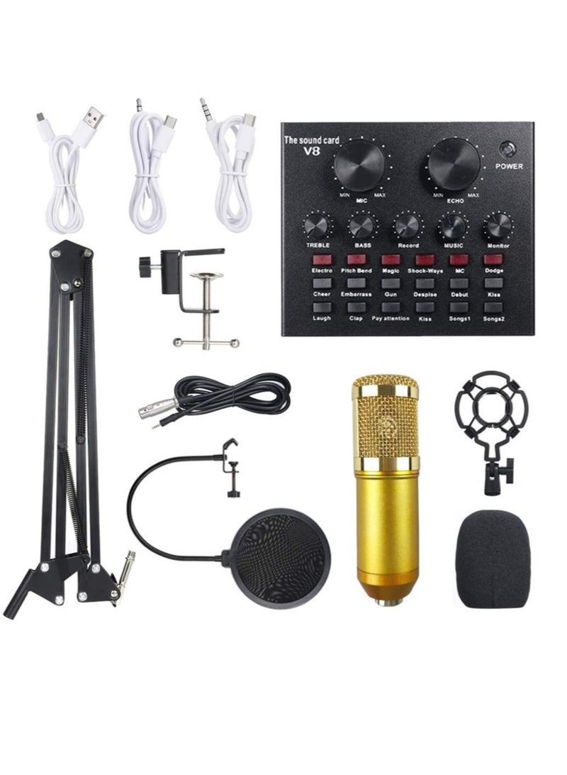 ELTRAZONE Multifunctional Live Sound Card & BM800 Suspension Microphone Kit Broadcasting Recording Condenser Microphone Set Intelligent Volume Adjustable Audio Mixer Sound Card for Computer PC Live S - Image 1