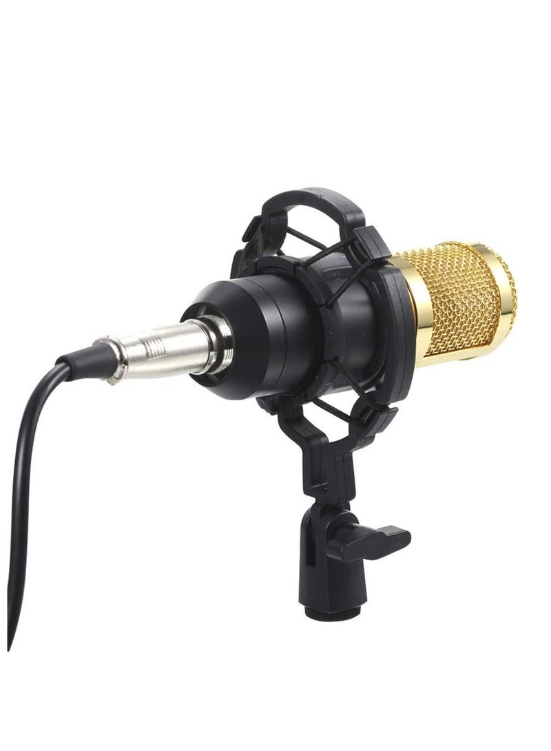 ELTRAZONE Multifunctional Live Sound Card & BM800 Suspension Microphone Kit Broadcasting Recording Condenser Microphone Set Intelligent Volume Adjustable Audio Mixer Sound Card for Computer PC Live S - Image 5