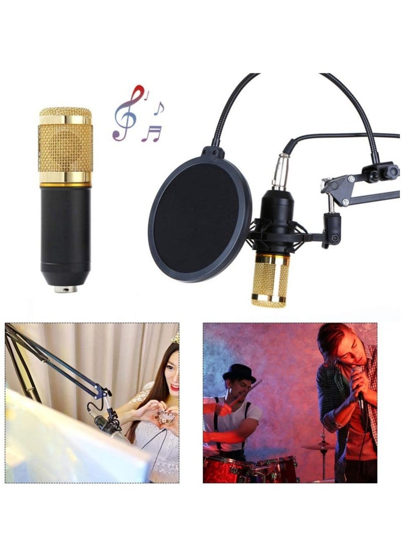 ELTRAZONE Multifunctional Live Sound Card & BM800 Suspension Microphone Kit Broadcasting Recording Condenser Microphone Set Intelligent Volume Adjustable Audio Mixer Sound Card for Computer PC Live S - Image 4