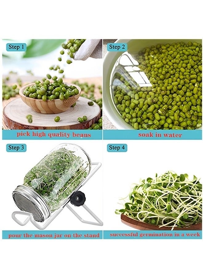 Bukela Jar Sprouting Kit-2pack 32oz Complete Wide Mouth Jar Sprouting Kit with Stainless Steel Sprouter Lids,Stand &Tray,Sprouting Jars for Bean Broccoli Alfalfa Radish Sunflower Seed - Image 3