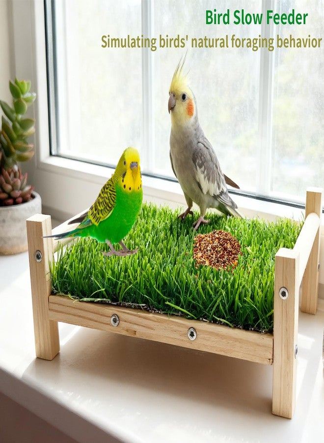 OOXYG Bird Toy with Foraging Mat, Parrot Forage Toy Bed, Parrot Grass Perch Hammock Bed, Bird Perch Conure Platform Grass Forage Toy for Parakeet, Cockatiel, Lovebird, Budgie - Image 3