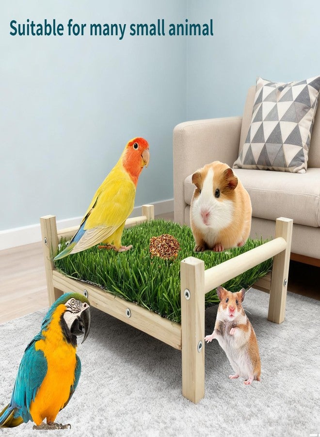 OOXYG Bird Toy with Foraging Mat, Parrot Forage Toy Bed, Parrot Grass Perch Hammock Bed, Bird Perch Conure Platform Grass Forage Toy for Parakeet, Cockatiel, Lovebird, Budgie - Image 4