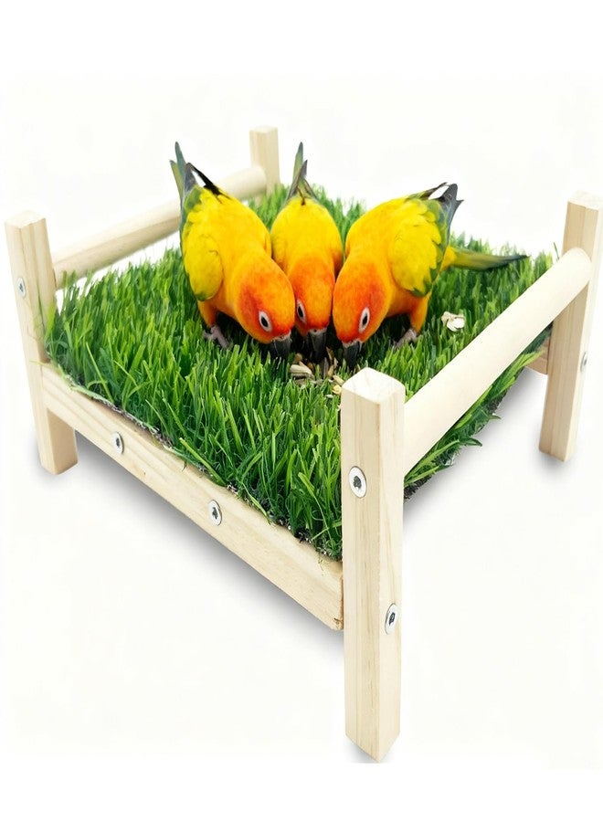 OOXYG Bird Toy with Foraging Mat, Parrot Forage Toy Bed, Parrot Grass Perch Hammock Bed, Bird Perch Conure Platform Grass Forage Toy for Parakeet, Cockatiel, Lovebird, Budgie - Image 1