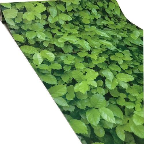 ROSASTELLA Self Adhesive Decorative Peel Stick Waterproof Wallpaper Wall Decor Removable Wall Paper for Living Room Hall Decoration PVC Vinyl DIY Contact Paper 45x304cm (Leaf) - Image 4
