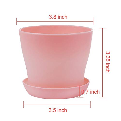 TDHDIKE 10 Pcs Plastic Planters Indoor Pots, Mini Flower Seedlings Nursery Flower Pot with Pallet, Modern Decorative Gardening Containers - Image 4