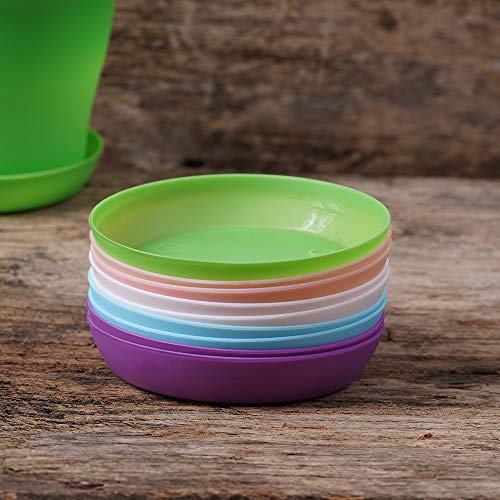 TDHDIKE 10 Pcs Plastic Planters Indoor Pots, Mini Flower Seedlings Nursery Flower Pot with Pallet, Modern Decorative Gardening Containers - Image 3