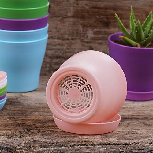 TDHDIKE 10 Pcs Plastic Planters Indoor Pots, Mini Flower Seedlings Nursery Flower Pot with Pallet, Modern Decorative Gardening Containers - Image 2