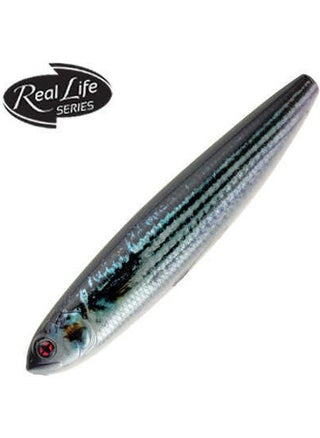Naja Floating Fake Fish RL13-105MM - pzsku/ZBB8A19D73DC9A1120E18Z/45/_/1736965087/4b0e9c1e-3926-4738-a695-5b67716cf819