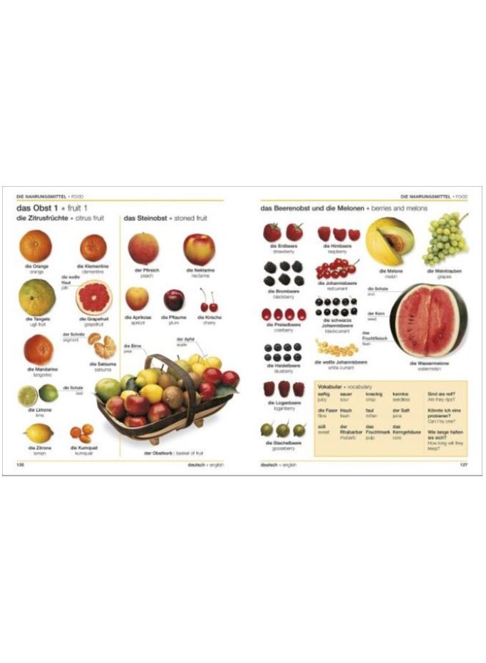 German-English Bilingual Visual Dictionary  - Image 2