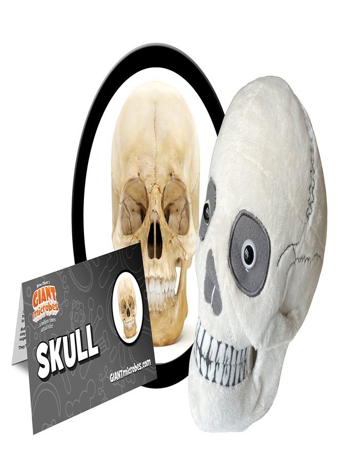 GIANT MICROBES Skull Plush, Halloween Decor, Anatomy Gifts, Organ Models, Skull Anatomy Model, Biology Gifts - Image 2