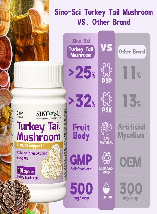 Sino-Sci Turkey Tail Mushroom - PSK>25% & PSP > 32%,Support Immune & Cellular Level, Non-GMO - 100 Caps - Image 3