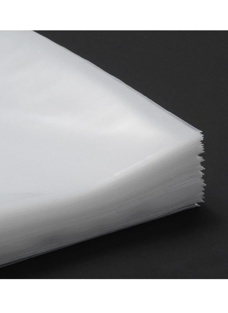 echo AUDIO Echo Audio 12 Inch Vinyl Record Outer Sleeves Pack of 100 3 Millimeters Thickness 12.75 x 12.75 inches Ideal Protection for Your LP Album Collection and Vinyl Record Covers  - Image 2