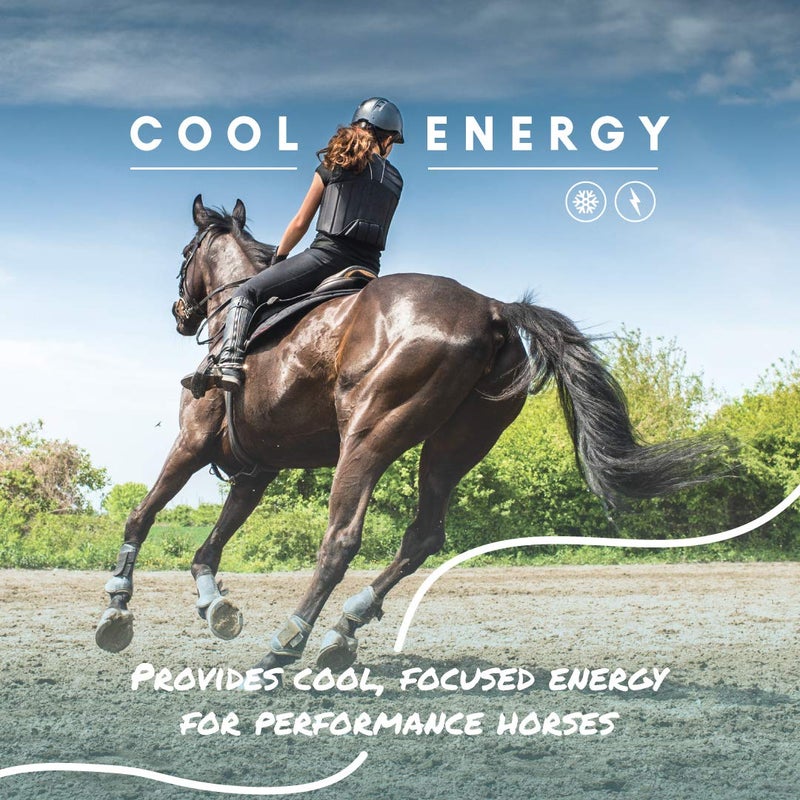 Manna Pro Cool Calories 100 - Equine Fat Supplement for Horses, Supports Healthy Weight Gain, Muscle Maintenance & Shiny Coat, Concentrated Dry Fat Calorie Booster, Low-Starch Formula, 8 lb Bag - Image 2