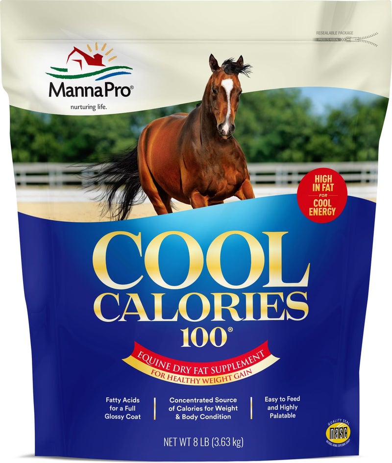 Manna Pro Cool Calories 100 - Equine Fat Supplement for Horses, Supports Healthy Weight Gain, Muscle Maintenance & Shiny Coat, Concentrated Dry Fat Calorie Booster, Low-Starch Formula, 8 lb Bag - Image 1