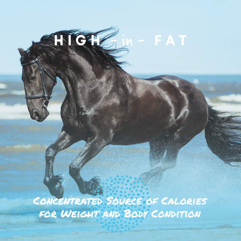 Manna Pro Cool Calories 100 - Equine Fat Supplement for Horses, Supports Healthy Weight Gain, Muscle Maintenance & Shiny Coat, Concentrated Dry Fat Calorie Booster, Low-Starch Formula, 8 lb Bag - Image 3
