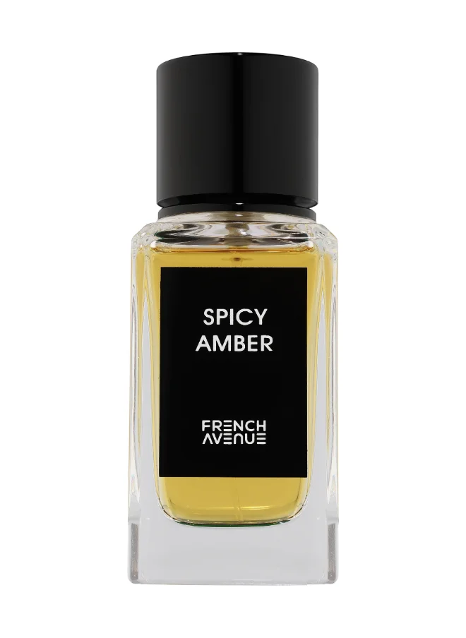 فرنش افينيو Spicy Amber - Eau De Parfum - Perfume For Men, 100Ml