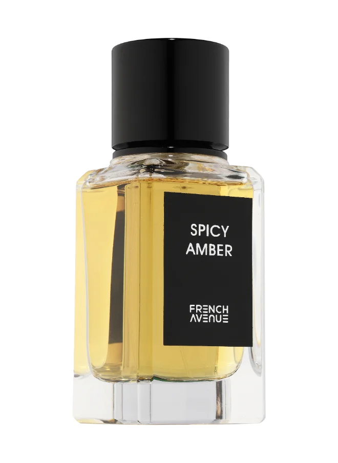 فرنش افينيو Spicy Amber - Eau De Parfum - Perfume For Men, 100Ml