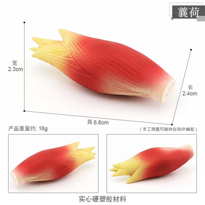 Realistic Vegetable Fruit Model Decor T15510 Lotus 16g 