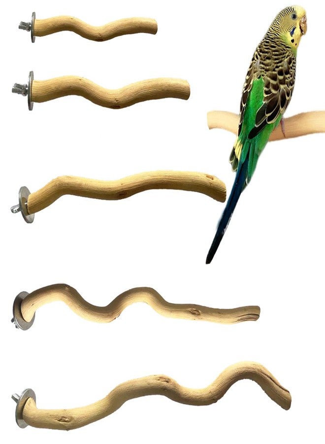Allazone 5 PCS Natural Parrot Perch Bird Stand Wooden Parrot Perch Stand Parakeet Climbing Standing Branches Toy for Small Lovebirds Budgies Cockatiels - Image 1