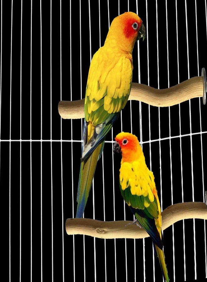 Allazone 5 PCS Natural Parrot Perch Bird Stand Wooden Parrot Perch Stand Parakeet Climbing Standing Branches Toy for Small Lovebirds Budgies Cockatiels - Image 3