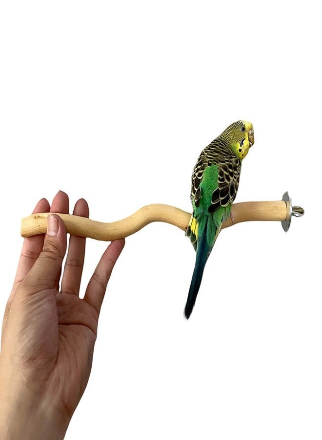 Allazone 5 PCS Natural Parrot Perch Bird Stand Wooden Parrot Perch Stand Parakeet Climbing Standing Branches Toy for Small Lovebirds Budgies Cockatiels - Image 5