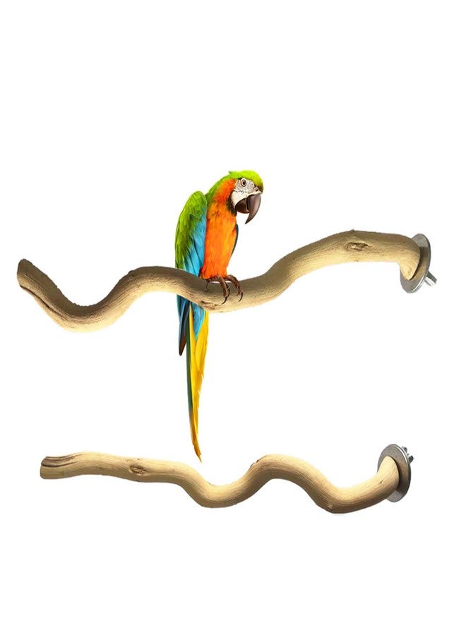 Allazone 5 PCS Natural Parrot Perch Bird Stand Wooden Parrot Perch Stand Parakeet Climbing Standing Branches Toy for Small Lovebirds Budgies Cockatiels - Image 4