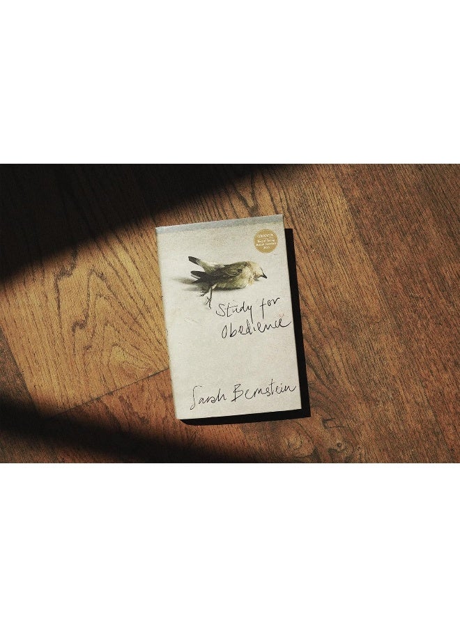 Study for Obedience: Shortlisted for the Booker Prize 2023 - Image 2