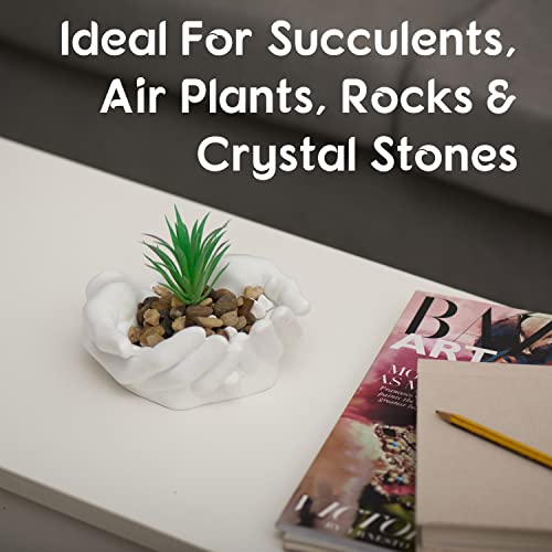 Tapeera Hand Shaped Succulent Planter Pot - Crystal Holder Display - Air Plant Holder Hand Planter - Giving Hands Sculpture Decor - Key Bowl Ring Dish Trinket Dish Candy Dish - Candle Holder (White) - Image 2