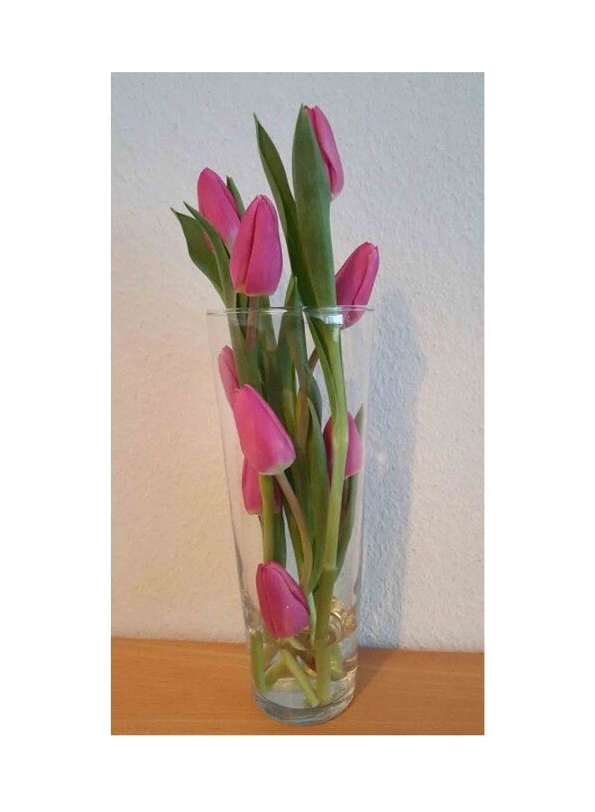 Carmel Flowers Pink Tulip In Cylinder