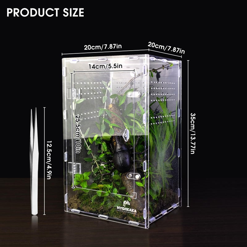 MYGIIKAKA Acrylic Jumping Spider Enclosure - Insect Terrarium for Spiders, Mantises, Tarantulas & Frogs - Image 2