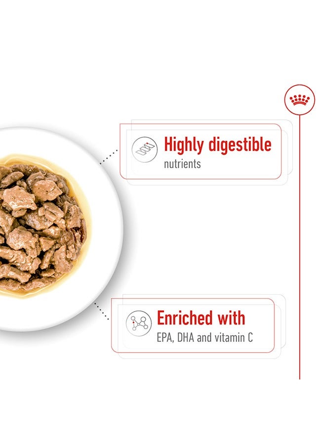 رويال كانين طعام الكلاب XS للبالغين - 85 جرام (عبوة من 12 قطعة) - Image 4