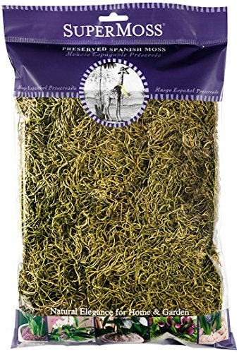 SuperMoss (26967) Spanish Moss Preserved, Basil, 8oz (200 cubic inch) - Image 5