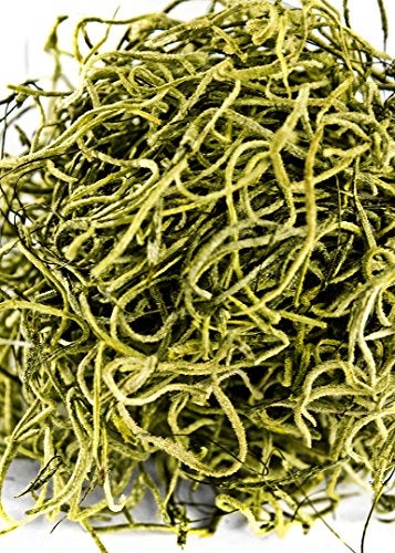 SuperMoss (26967) Spanish Moss Preserved, Basil, 8oz (200 cubic inch) - Image 3