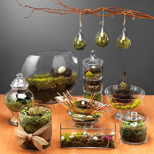 SuperMoss (26967) Spanish Moss Preserved, Basil, 8oz (200 cubic inch) - Image 2