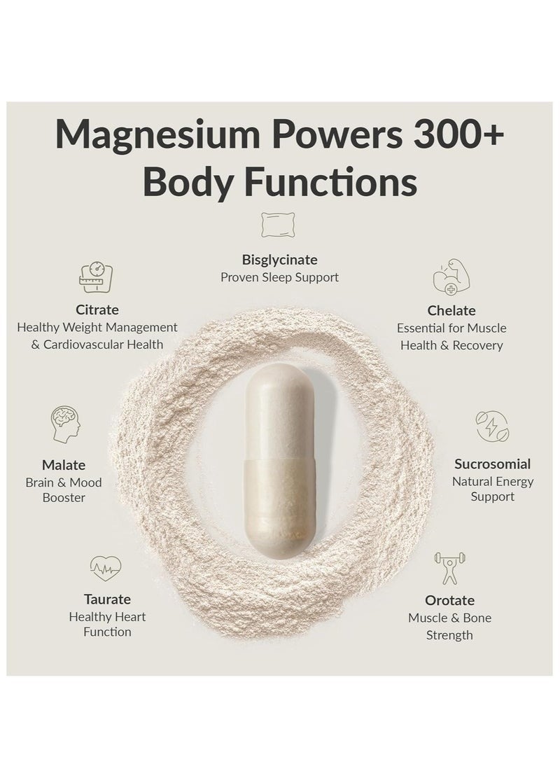 BIOptimizers Magnesium Breakthrough Supplement 4.0-7 Forms of Mg: Glycinate, Malate, Citrate, and More - Natural Support for Sleep and Cognitive Function - 60 Capsules- Calming Vitamins Complex - Image 3