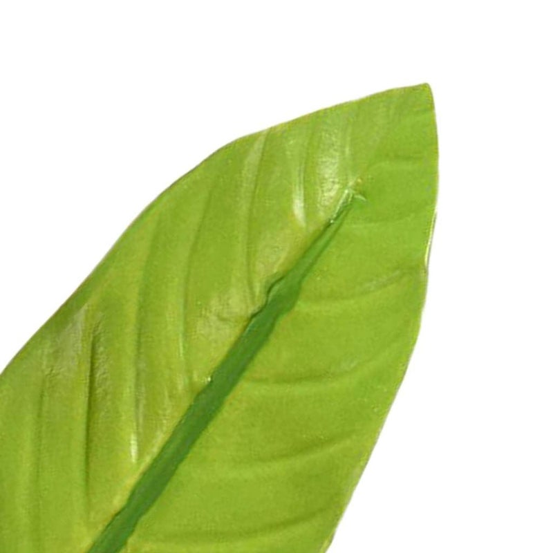 Fish Bed Decorative Hideouts with Suction Cup Green Hideaway Decor for Aquarium Terrarium Ornaments - Image 2